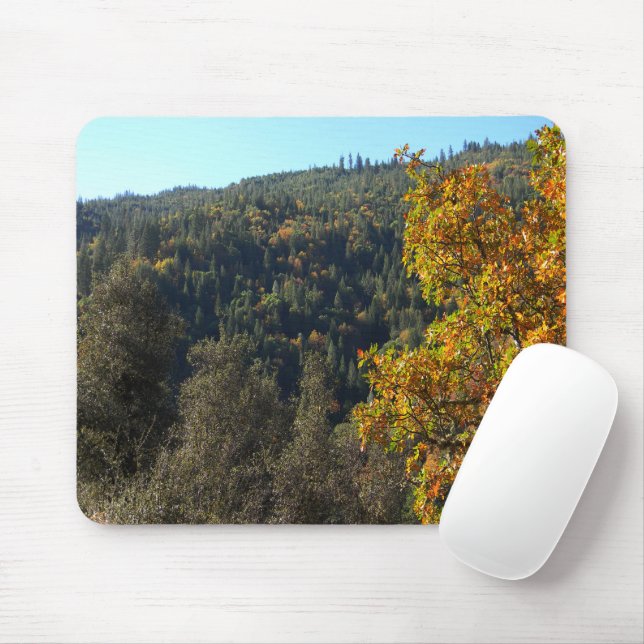 Mousepad Lindas cores de queda..... (Com mouse)