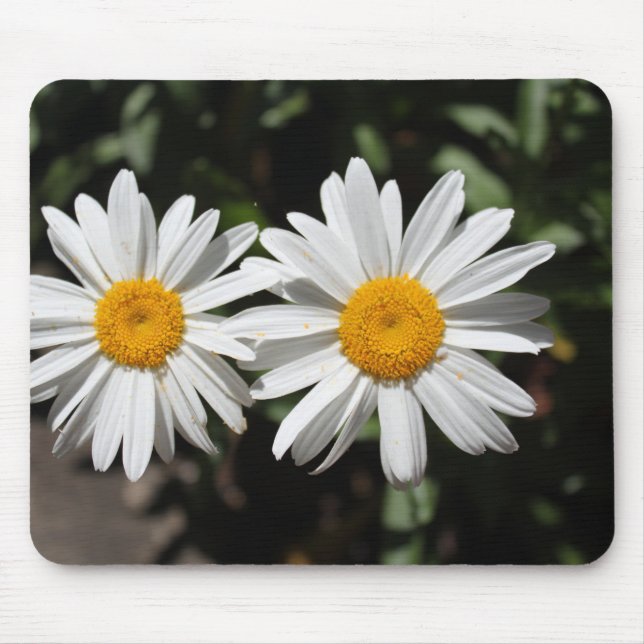 Mousepad Lindas flores brancas de margarida. (Frente)