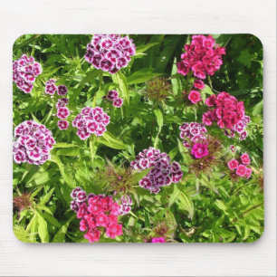 Mousepad lindas flores coloridas, cravo