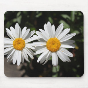 Mousepad Lindas flores de margarida brancas puras.