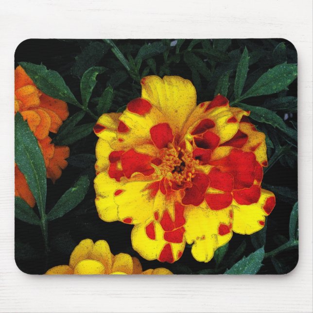 Mousepad Lindas Flores de Marigold Vermelhas e Amarelas (Frente)