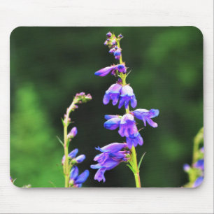 Mousepad Lindas flores roxas florescendo no Canadá