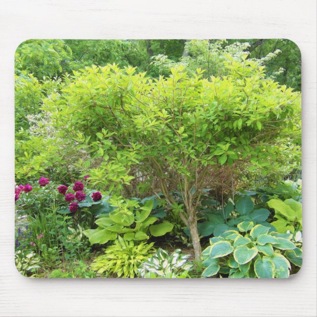 Mousepad Lindo Jardim Verde com Hostas (Frente)