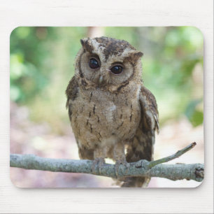 Mousepad Lindo Jovens Pads De Rato