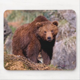 Mousepad Lindo Rato de Urso Marrom Almofada