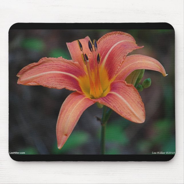 Mousepad Lindos Artigos e Presentes de Hemerocallis Cor de  (Frente)