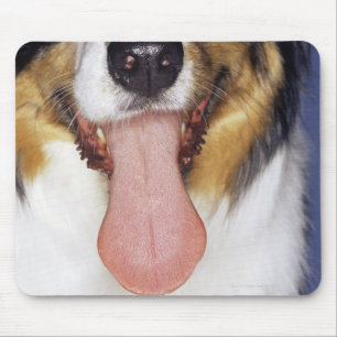 Mousepad Língua sacudindo do Collie