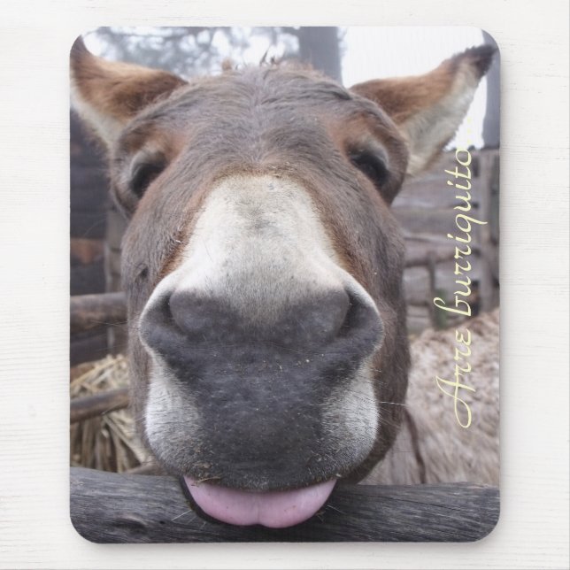Mousepad Linha Animal - Arre burriquito... (Frente)
