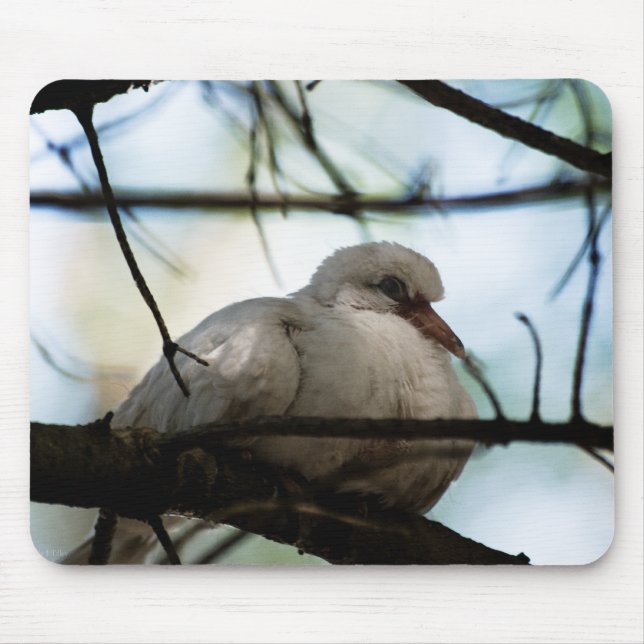 Mousepad Linha mestre (Frente)