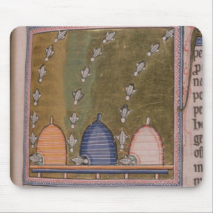 Mousepad Linhas curvadas do bestiário três