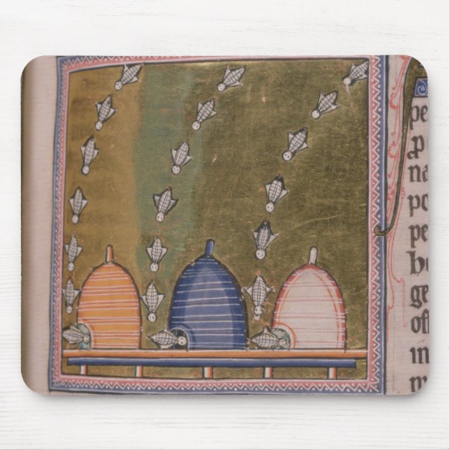 Mousepad Linhas curvadas do bestiário três (Frente)