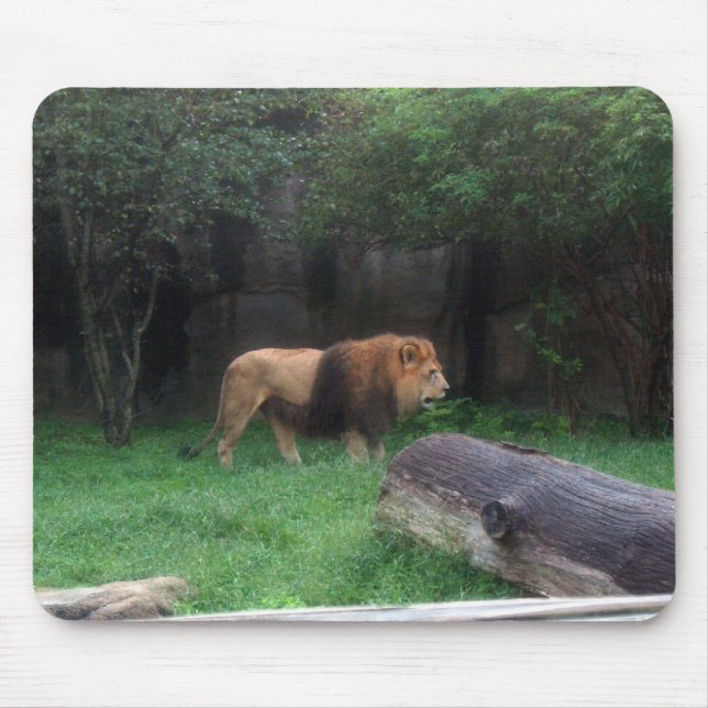 Mousepad Lion (Frente)
