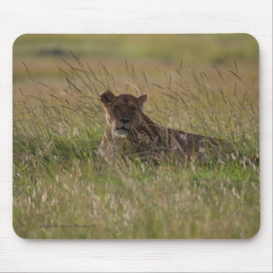 Mousepad Lion Africa Savannah