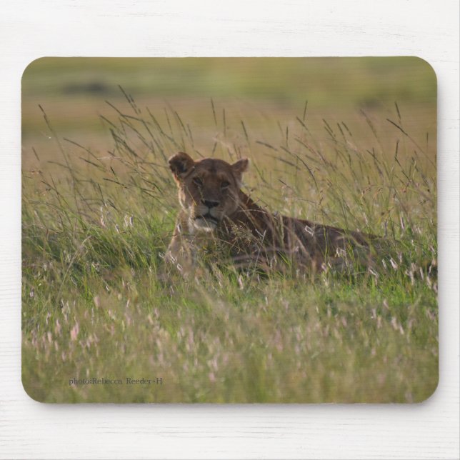 Mousepad Lion Africa Savannah (Frente)