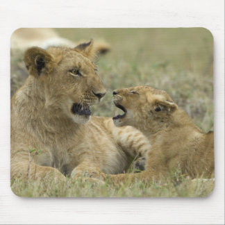 Mousepad Lion Brothers