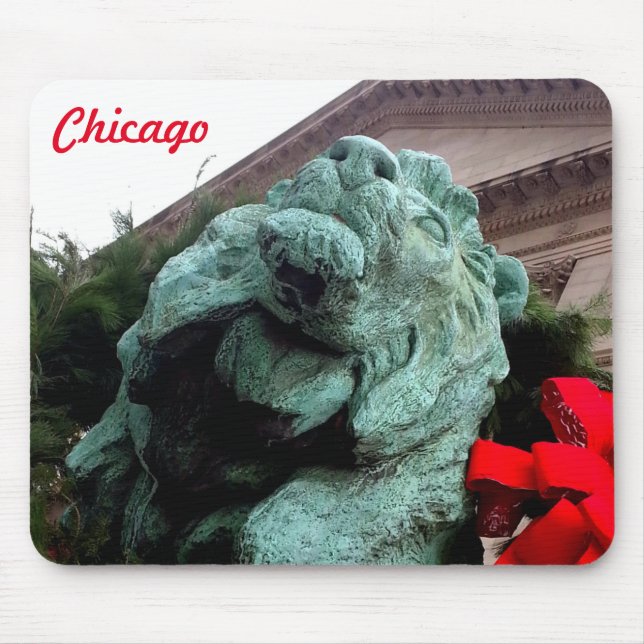 Mousepad Lion do Sul no Instituto de Arte de Chicago (Frente)