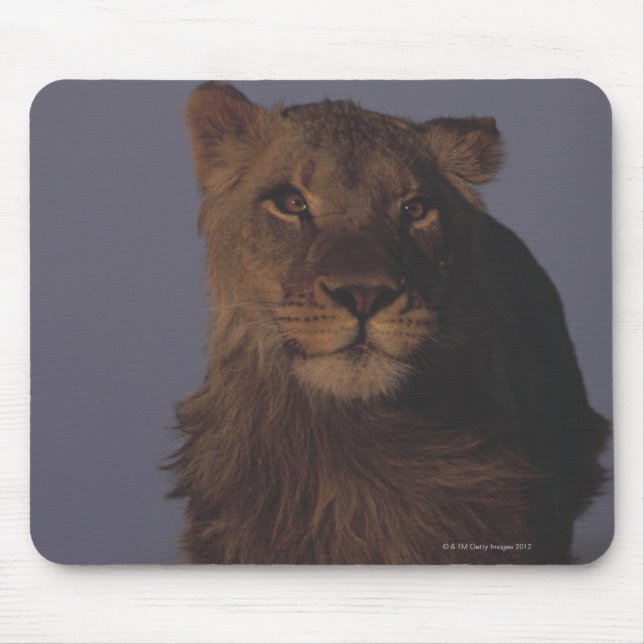Mousepad Lion em execução (Frente)