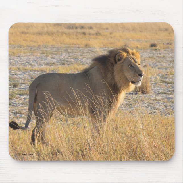 MOUSEPAD LION MALE (Frente)