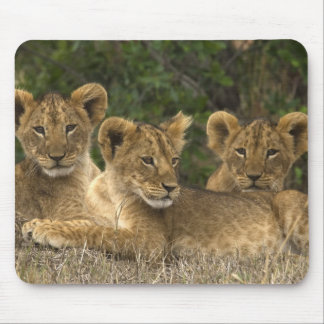 Mousepad Lion Siblings
