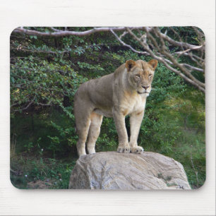 Mousepad Lionalidade