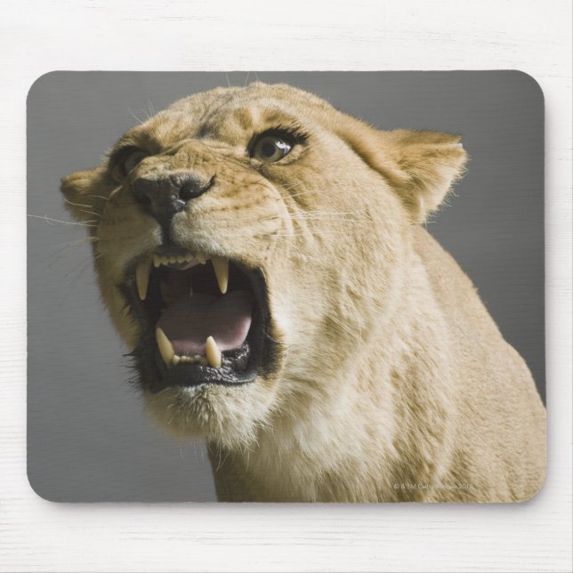 Mousepad Lioness ruaring (Frente)