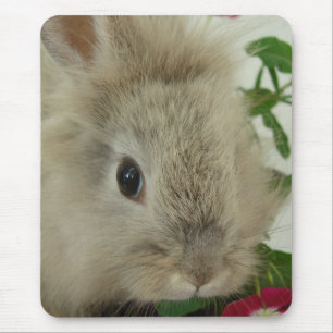 Mousepad Lionhead Bunny