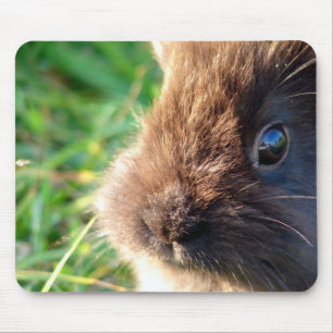 Mousepad Lionhead Bunny