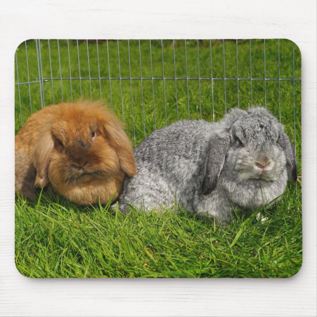 Mousepad Lionhead Holland Mini Lop Bunny Rabbit (Frente)