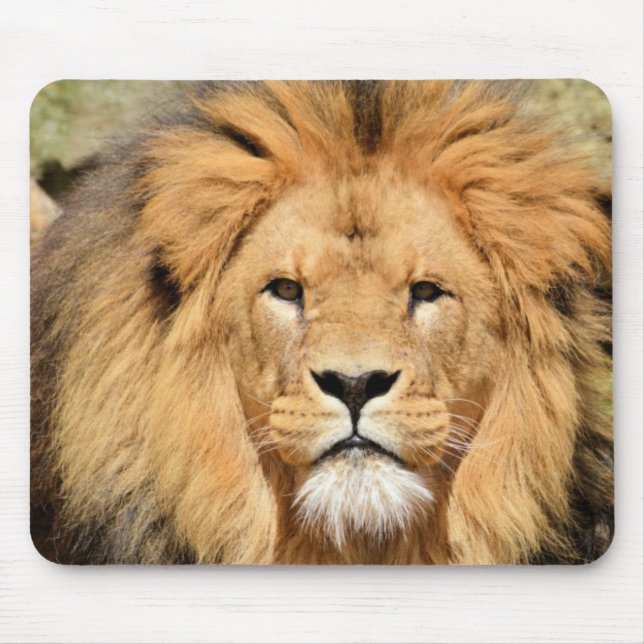 Mousepad Lions Head (Frente)