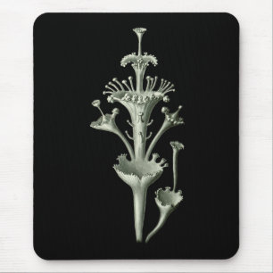 Mousepad Líquene do copo
