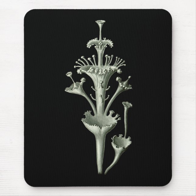 Mousepad Líquene do copo (Frente)