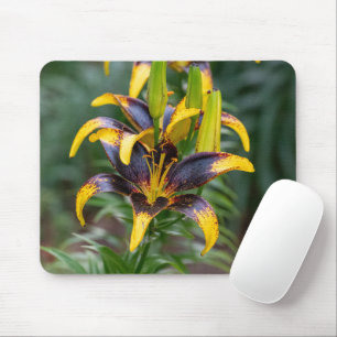 Mousepad Lírio Asiático Preto, Fotografia Floral Escura