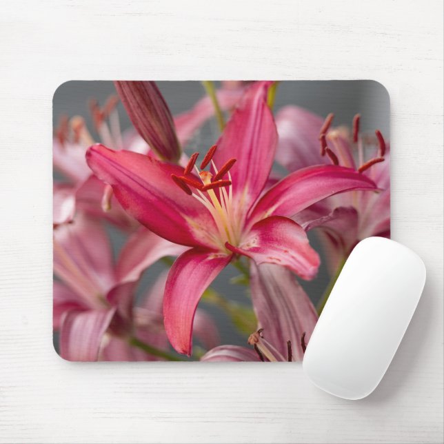 Mousepad Lírio Asiático Rosa, Foto de Flor Botânica (Com mouse)