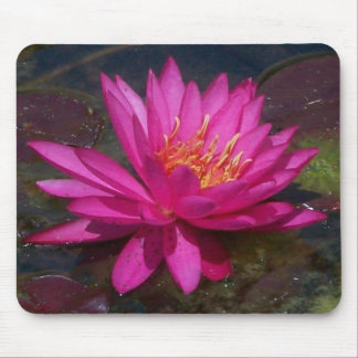 Mousepad Lírio de água cor-de-rosa