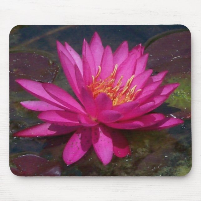 Mousepad Lírio de água cor-de-rosa (Frente)