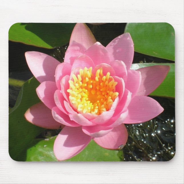 Mousepad Lírio de Água Rosa (Frente)