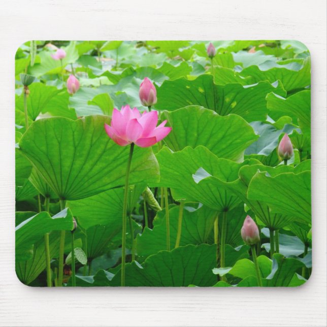 Mousepad Lírio que está alto (Frente)