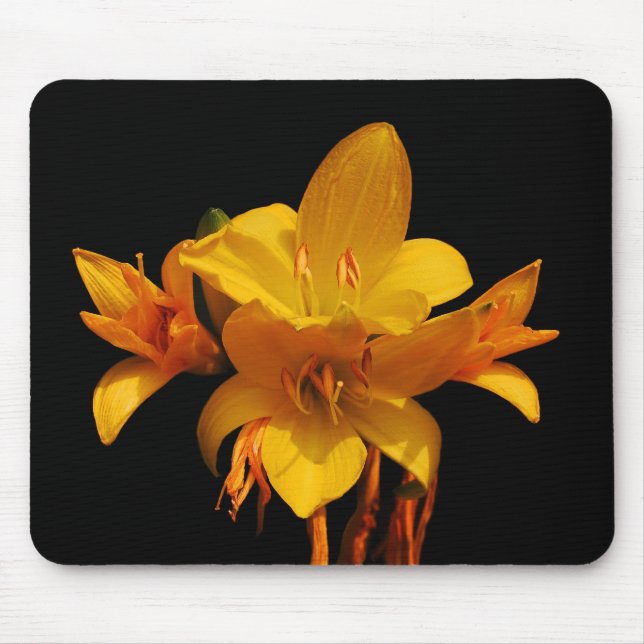Mousepad Lírios (Frente)