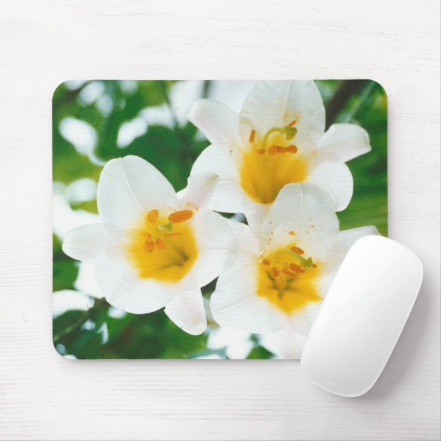 Mousepad Lírios brancos - Lily Flower Lilium candidata (Com mouse)