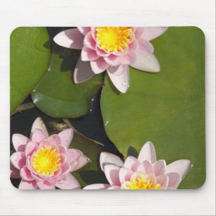 Mousepad Lírios de água