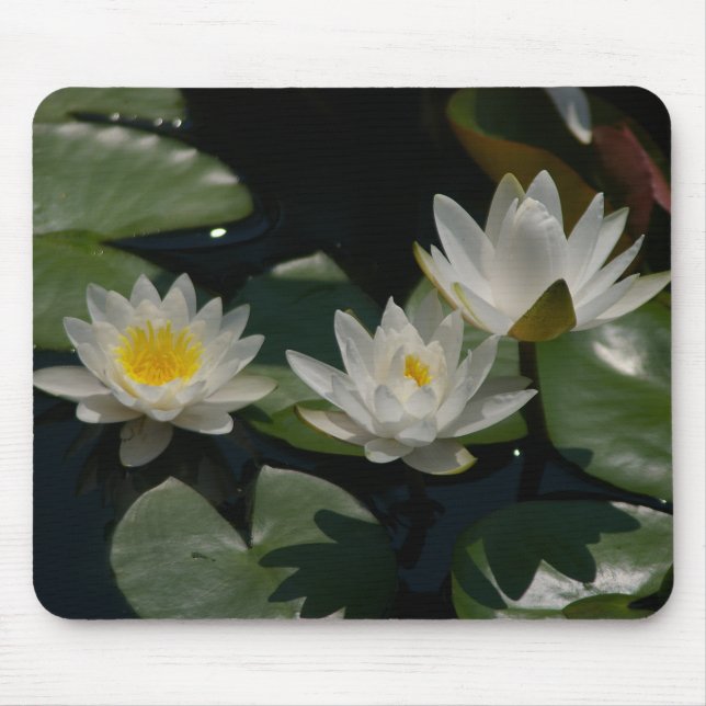 Mousepad Lírios de lírios brancos Lily Pads com o mouse (Frente)