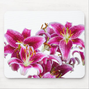 Mousepad Lírios do Stargazer