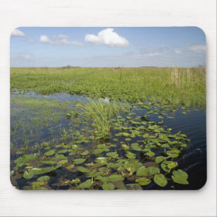 Mousepad Lírios e capim de água nas planícies da Flórid