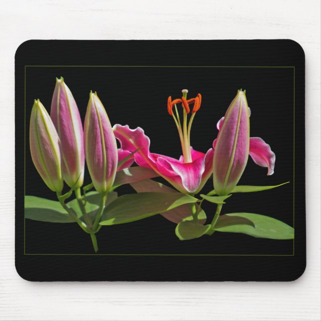 Mousepad Lírios Stargazer Botões e Flor (Frente)