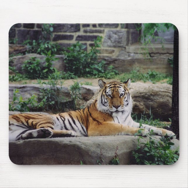 Mousepad Listras (Frente)