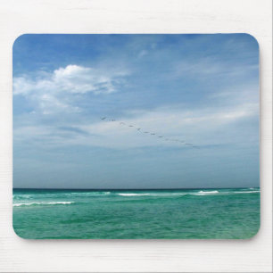 Mousepad Litoral de Florida