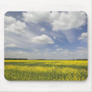 Mousepad Lituânia, Lituânia Central, Joniskis, campo de