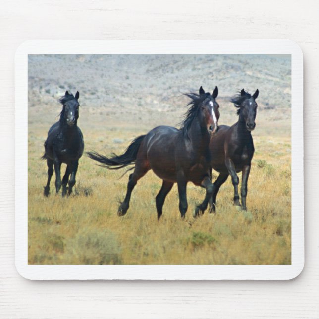 Mousepad Livre extravagante (Frente)