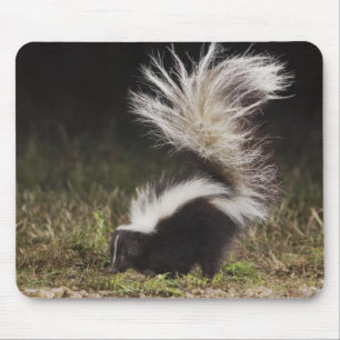 Mousepad Lixo, Mefite, Edema Adultos