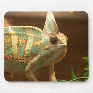 Mousepad lizzard colorido